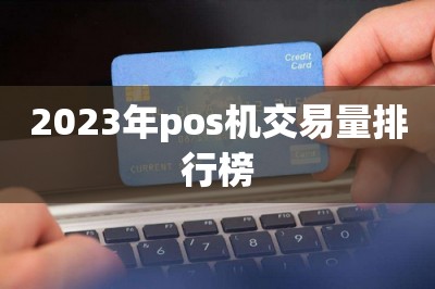 2024年pos机交易量排行榜