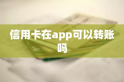 信用卡在app可以转账吗？【分享两款可以信用卡转账的app】-第1张图片