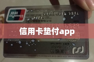 哪个app可以刷卡还款信用卡？推荐两款信用卡垫付app-第1张图片