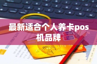 最新适合个人养卡pos机品牌【推荐两款】