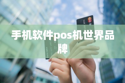 手机软件pos机世界品牌【推荐两款排行榜第一名第二名】-第1张图片