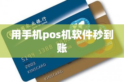 用手机pos机软件秒到账【推荐两款秒到账的刷卡app】-第1张图片