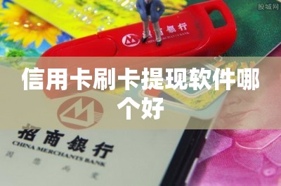 信用卡刷卡提现软件哪个好？推荐两款最好的-第1张图片