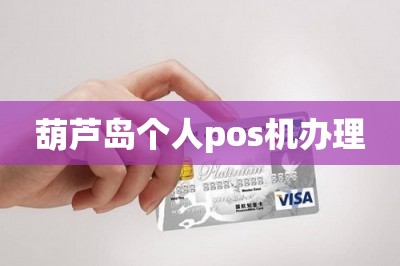 葫芦岛个人pos机办理