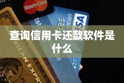 查询信用卡还款软件是什么