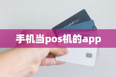 手机当pos机的app