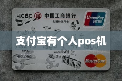 支付宝有个人pos机