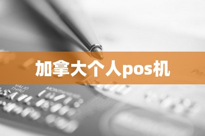 加拿大个人pos机