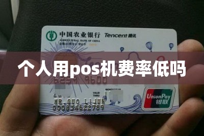 个人用pos机费率低吗