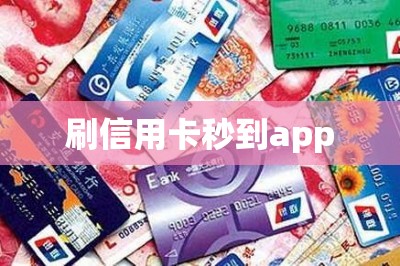 刷信用卡秒到app