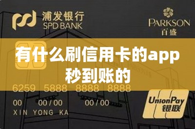 有什么刷信用卡的app秒到账的