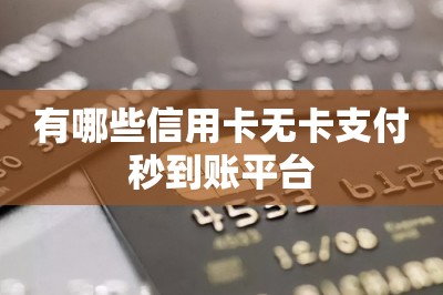 有哪些信用卡无卡支付秒到账平台