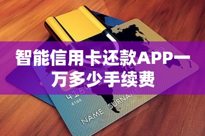 智能信用卡还款APP一万多少手续费？