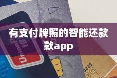 有支付牌照的智能还款款app