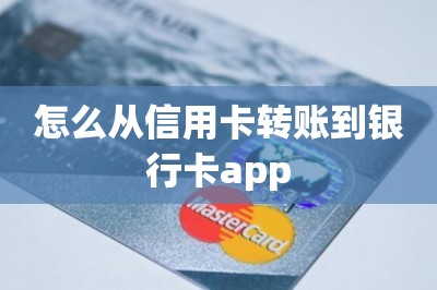 怎么从信用卡转账到银行卡app