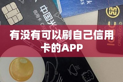 有没有可以刷自己信用卡的APP