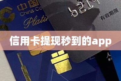 信用卡提现秒到的app