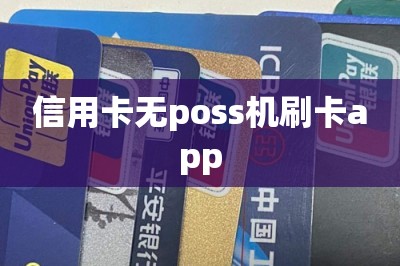 信用卡无poss机刷卡app