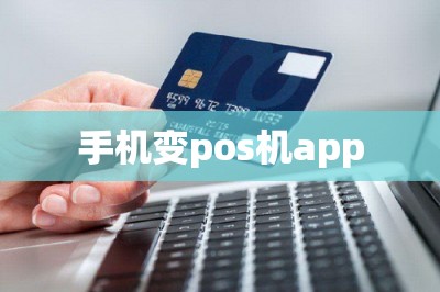 手机变pos机app