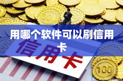用哪个软件可以刷信用卡