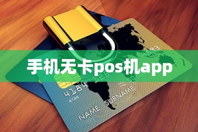 手机无卡pos机app