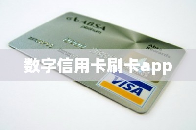 数字信用卡刷卡app