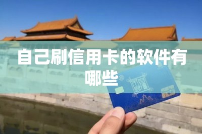 自己刷信用卡的软件有哪些