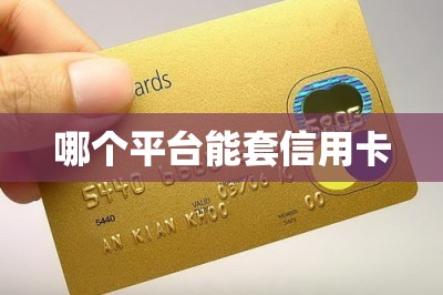哪个平台能套信用卡