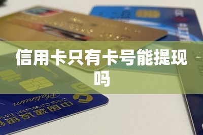 信用卡只有卡号能提现吗
