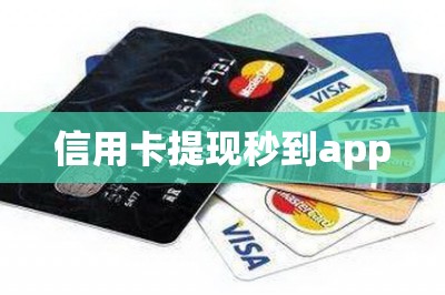 信用卡提现秒到app