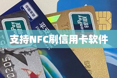 支持NFC刷信用卡软件