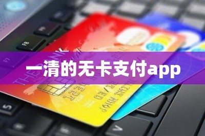 一清的无卡支付app：可以刷自己的信用卡只需要一款app