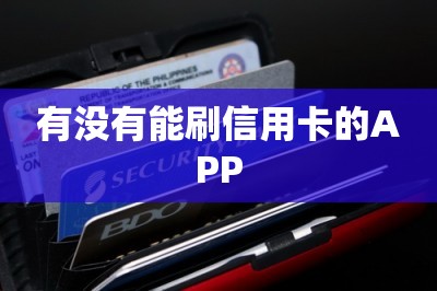 有没有能刷信用卡的APP：本文一文分享两个任选其一