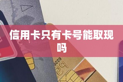 信用卡只有卡号能取现吗？不插卡也有刷卡方法