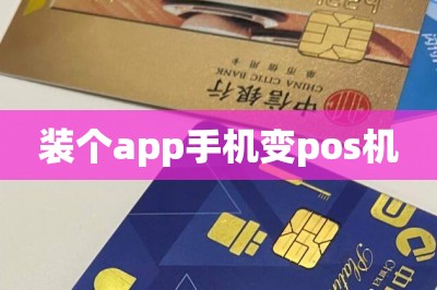 装个app手机变pos机