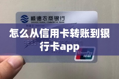 怎么从信用卡转账到银行卡app