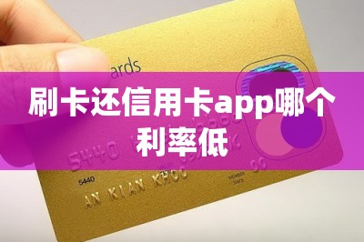 刷卡还信用卡app哪个利率低