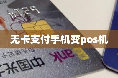 无卡支付手机变pos机