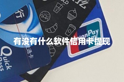 有没有什么软件信用卡提现：推荐两款-第1张图片