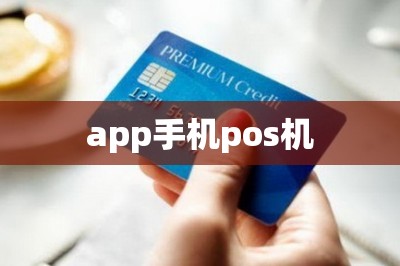 app手机pos机