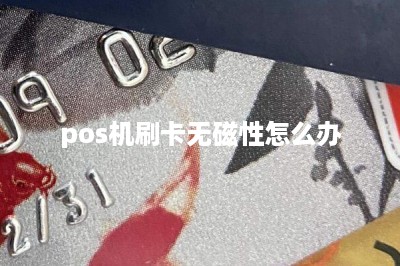 pos机刷卡无磁性怎么办