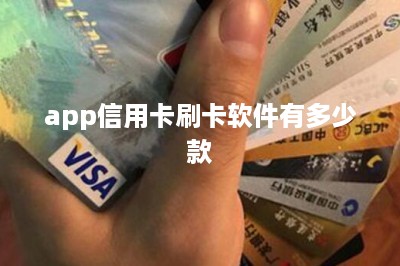 app信用卡刷卡软件有多少款-第1张图片