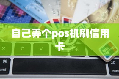 自己弄个pos机刷信用卡