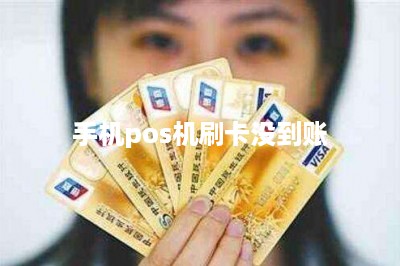 手机pos机刷卡没到账