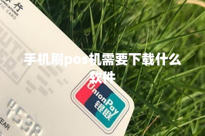 手机刷pos机需要下载什么软件-第1张图片