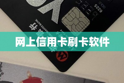 网上信用卡刷卡软件