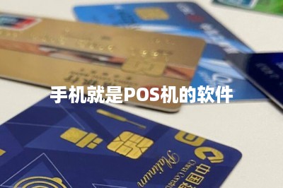 手机就是POS机的软件-第1张图片