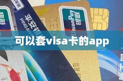 可以套visa卡的app