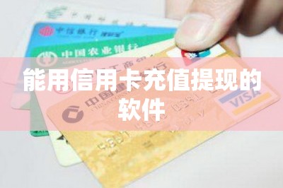 能用信用卡充值提现的软件