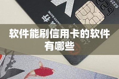软件能刷信用卡的软件有哪些